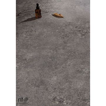 Керамогранит NT Ceramic (Нт Керамик) Terrazzo NTT9502 60х120 см