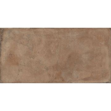 Керамогранит NT Ceramic (Нт Керамик) Axion Jupiter Punch 60х120 см, NTTVL99816PM