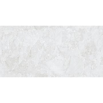 Керамогранит NT Ceramic (Нт Керамик) Rockstar Orleans Matt 60х120 см, NTTVL99836M