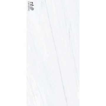Керамогранит NT Ceramic (НТ Керамик) Aurora NTT9801 полированный 60х120 см