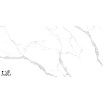 Керамогранит NT Ceramic (Нт Керамик) Marmo Statuario Ultra White 60х120 см, NTT99512M