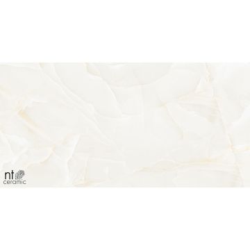 Керамогранит NT Ceramic (Нт Керамик) Onyx Predo 60х120 см, NTT99504P