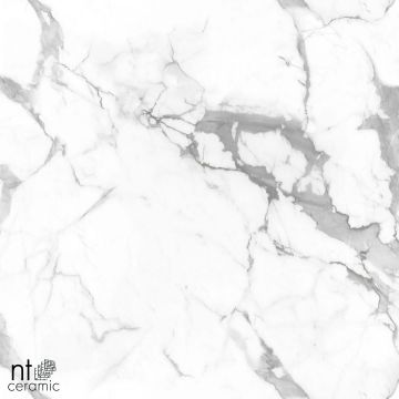 Керамогранит NT Ceramic (Нт Керамик) Marmo Callacata Endless Mat 60х120 см, NTT99516M