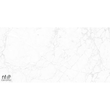 Керамогранит NT Ceramic (Нт Керамик) Marmo Impero Carving 60х120 см, NTT99518M