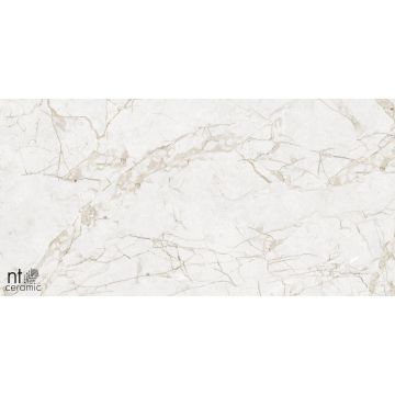 Керамогранит NT Ceramic (Нт Керамик) Marmo Impero Grey Carving 60х120 см, NTT99519M