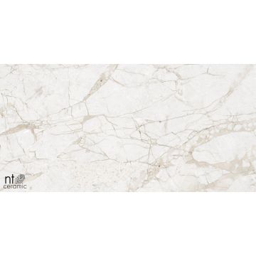 Керамогранит NT Ceramic (Нт Керамик) Marmo Impero Grey Carving 60х120 см, NTT99519M