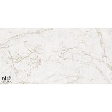 Керамогранит NT Ceramic (Нт Керамик) Marmo Impero Grey Carving 60х120 см, NTT99519M