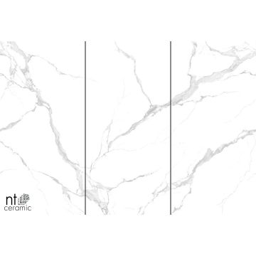 Керамогранит NT Ceramic (Нт Керамик) Atlas Wide Bianco Carrara 120х240 см, NTT3004P