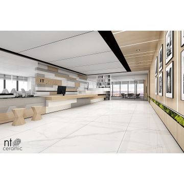 Керамогранит NT Ceramic (Нт Керамик) 120х240 Statuario mat 120х240 см, NTT3009M