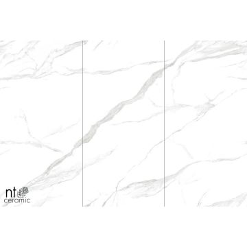 Керамогранит NT Ceramic (Нт Керамик) 120х240 Statuario mat 120х240 см, NTT3009M