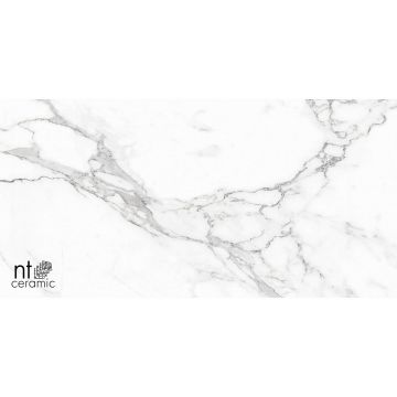 Керамогранит NT Ceramic (Нт Керамик) Bright and Shiny NTT9125M Statuario Infinity 60х120 см