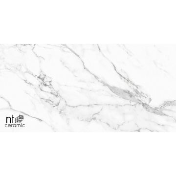 Керамогранит NT Ceramic (Нт Керамик) Bright and Shiny NTT9125M Statuario Infinity 60х120 см