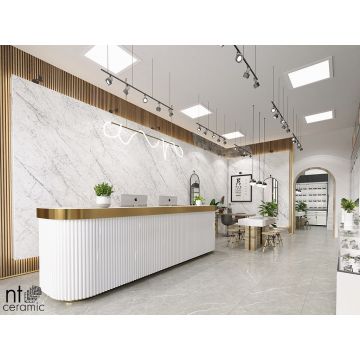 Керамогранит NT Ceramic (Нт Керамик) Atlas Home Carrara Elite 120х280 см, NTT3602C