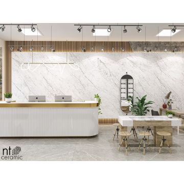Керамогранит NT Ceramic (Нт Керамик) Atlas Home Carrara Elite 120х280 см, NTT3602C