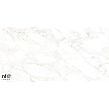 Керамогранит NT Ceramic (Нт Керамик) Marmo Marble Extra Endless 60х120 см, NTT99526M