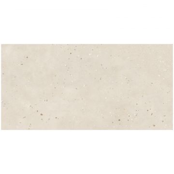 Базовая плита Буоно Керамика Terrazzo 120х60 см бежевый матовая, глазурованная SOHS4703M, Light Beige Matt, Buono Ceramica