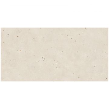 Базовая плита Буоно Керамика Terrazzo 120х60 см бежевый матовая, глазурованная SOHS4703M, Light Beige Matt, Buono Ceramica