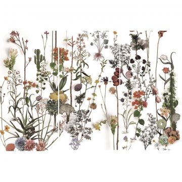 Декор 41zero42 Paper41 Lux Franz 60x120 см Декор 41zero42 Paper41 Lux Franz 60x120 см