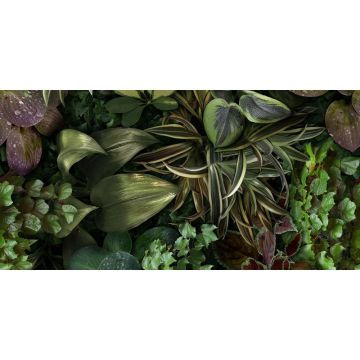 Декор 41zero42 (41зиро42) Paper41 Pro Jane B 50х100 см