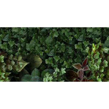 Декор 41zero42 (41зиро42) Paper41 Pro Jane D 50х100 см