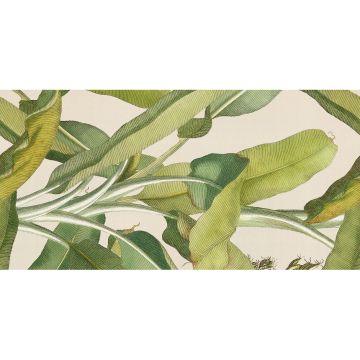 Декор 41zero42 (41зиро42) Paper41 Pro Musa 50х100 см