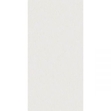 Керамогранит 41zero42 (41зиро42) Superclassica Scw Flamed 60x120 см