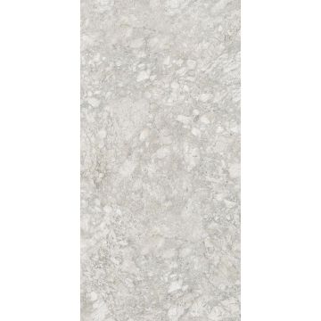 Керамогранит Marjan Tile (Маржан Тайл) Stone Moon Rock Light Gray 60x120 см, 8084