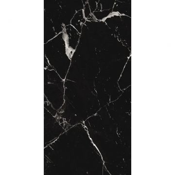 Керамогранит Protiles (Протайлс) Noir Marble Polished 60x120 см, PT12S982