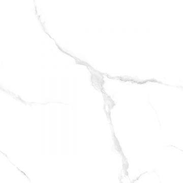 Керамогранит Protiles (Протайлс) Snow Marble Carving 60x60 см, PT60J906
