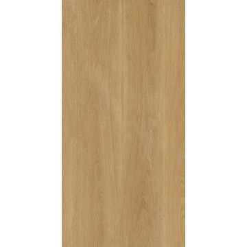 Керамогранит Protiles (Протайлс) Albero Beige Matt 60x120 см, PT12F7041