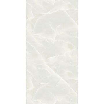 Керамогранит Protiles (Протайлс) Onyx Grey Polished 60x120 см, PT12P7003