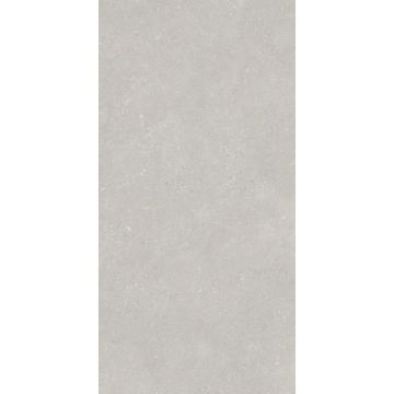 Керамогранит Protiles (Протайлс) Pietra Light Grey Matt 60x120 см, PT12F7048