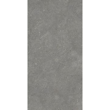 Керамогранит Protiles (Протайлс) Pietra Grey Matt 60x120 см, PT12F7047