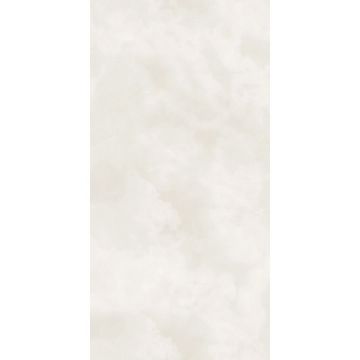 Керамогранит Protiles (Протайлс) Polishedar Veil Polished 60x120 см, PT12P009