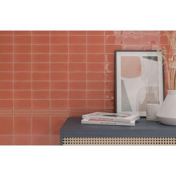 Керамическая плитка Wow (Вау) Fayenza Belt Coral 6,25x12,5 см