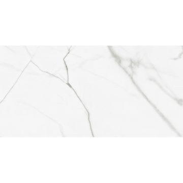 Керамогранит Artkera (Арткера) Pure Marble матовый 60x120 см, GP60120PUR00M