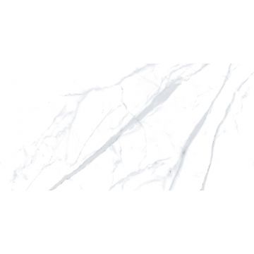 Керамогранит Pieza Ceramica (Пьеза Керамика) Statuario White матовый 60х120 см, ST016012N