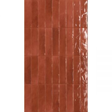 Керамогранит Fap Ceramiche (Фап Керамик) Glim GL Rossocuor BR 6x24 см, fRMW