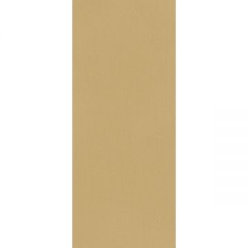 Керамическая плитка Fap Ceramiche (Фап Керамик) True Color Caramel ректификат 50x120 см, fTDS