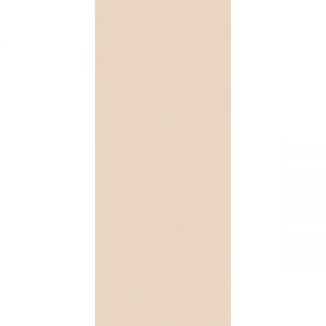 Керамическая плитка Fap Ceramiche (Фап Керамик) True Color Talc ректификат 50x120 см, fTDW