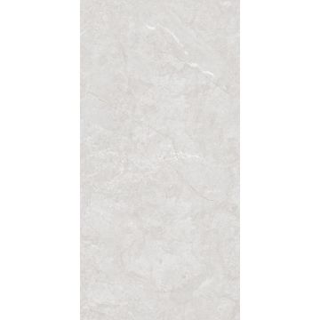 Керамогранит Seratonia (Сератониа) Aldo Silver полированный 60x120 см