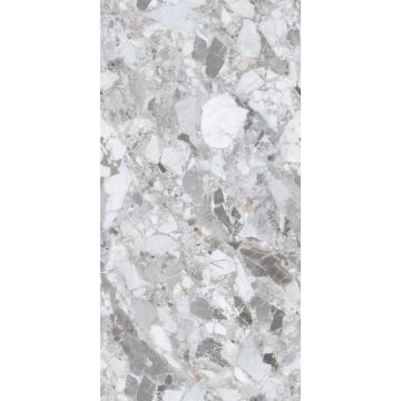 Керамогранит Seratonia (Сератониа) Icon Grey полированный 60x120 см