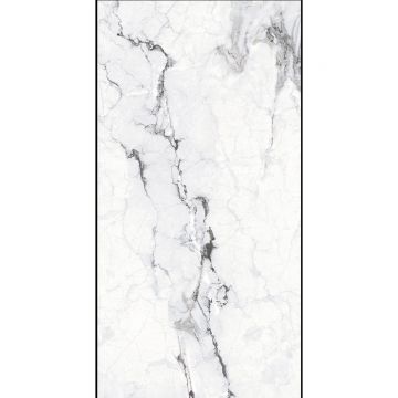 Керамогранит Planet Ceramics (Планет Керамикс) JC-61208 полированный 60x120 см