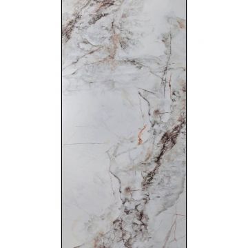 Керамогранит Planet Ceramics (Планет Керамикс) LKJB 666 полированный 60x120 см