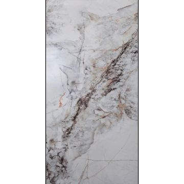 Керамогранит Planet Ceramics (Планет Керамикс) LKJB 666 полированный 60x120 см