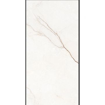Керамогранит Planet Ceramics (Планет Керамикс) СС-15063 полированный 60x120 см