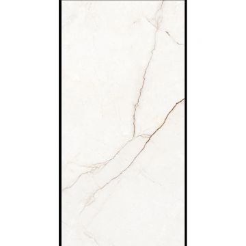 Керамогранит Planet Ceramics (Планет Керамикс) СС-15063 полированный 60x120 см