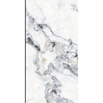 Керамогранит Planet Ceramics (Планет Керамикс) PXF 484 золото полированный 60x120 см
