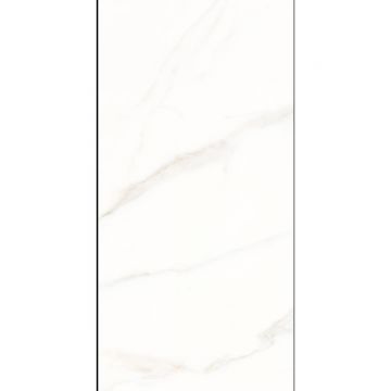 Керамогранит Planet Ceramics (Планет Керамикс) 12005 полированный 60x120 см