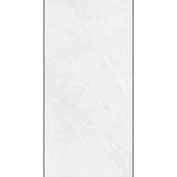 Керамогранит Planet Ceramics (Планет Керамикс) UK-SM 704 matt 60x120 см